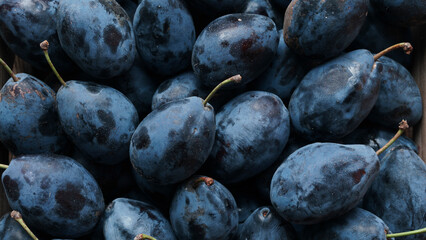 Fresh plums in wooden box on rustic table, top view