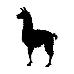 Fototapeta premium Llama Silhouette Vector Graphic