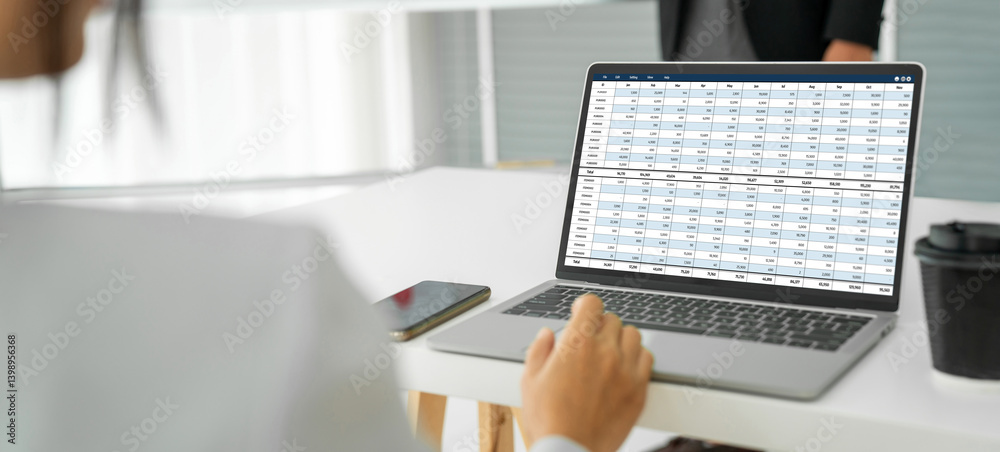 Poster accounting software on computer screen showing financial statement spreadsheets and account balance 