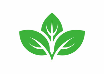 Eco-Conscious Illustration: A vivid illustration of three stylized green leaves. The image promotes a sense of freshness, growth, and natural elements.