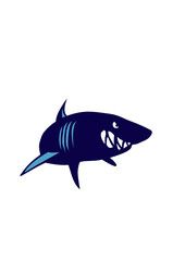 requin bete tete animal 