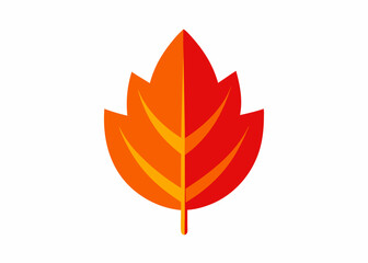 Obraz premium Autumnal Leaf's Vibrant Hues: Witness a captivating portrayal of an autumn leaf, its warm red and orange tones embodying the essence of fall. Witness the season's beauty. 