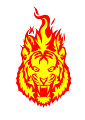 tigre en flamme feu