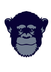 singe tete face animal sauvage