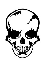 tete de mort squelette crane halloween