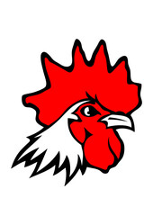 coq animal domestique