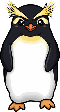 Erect-Crested Penguin (Eudyptes sclateri)
