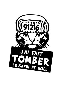 chat tomber sapin noel citation prisonnier humour