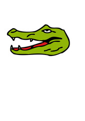  tete caiman crocodile dessin