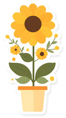 Obraz premium Sunflowers Blooming in a Pot: A Vibrant Display of Yellow Petals and Green Leaves, Adding Cheer to Any Space