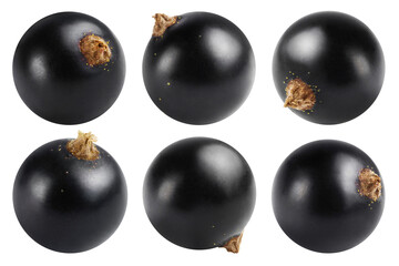 Blackcurrant isolated set. Collection of currant berries on a transparent background, in different...
