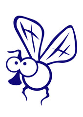 mouche aile dessin