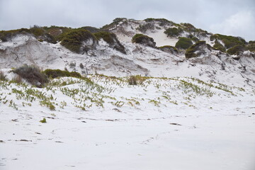 Sandy beach in Thistle Cove in Cape Le Grand National Park, Western Australia, Australia
