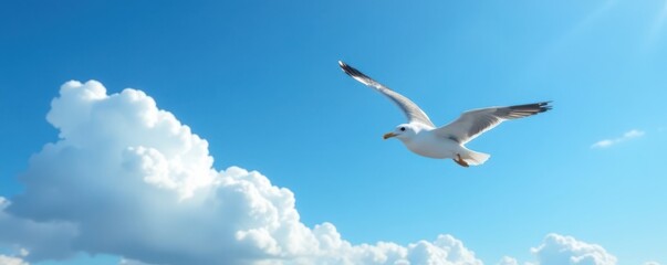 Obraz premium Soaring seagull against a bright blue sky with fluffy white clouds , blue sky, seagull