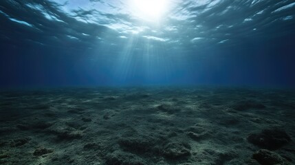 Fototapeta premium Sunlight penetrates a dark underwater plain