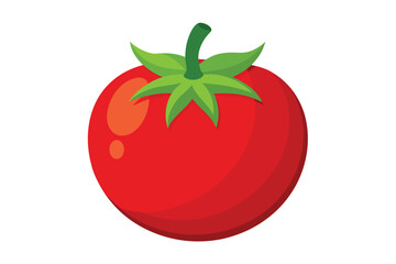 tomato vector illustration white background 