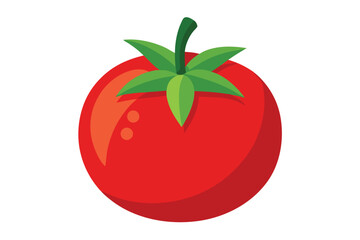 Red tomato vector illustration white background 