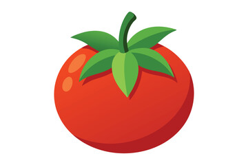 tomato isolated on white background