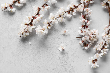 Beautiful blooming tree branches on grey background