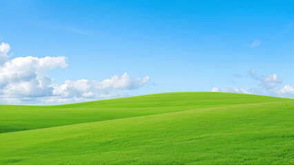 Fototapeta premium Blue sky, white clouds and green prairie