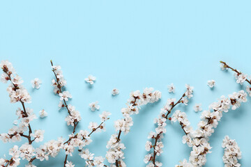 Beautiful blooming tree branches and flowers on blue background