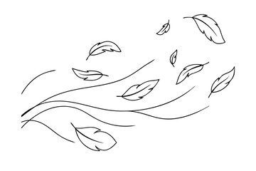 Gentle Wind With Flying Feathers Minimalist Black And White Line Art Elegant Design Element Nature Inspired For Backgrounds And Creative Projects