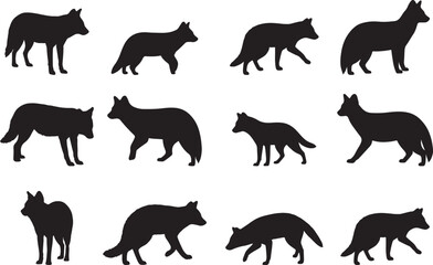 Dhole Silhouette – Minimal Vector Illustration on White Background