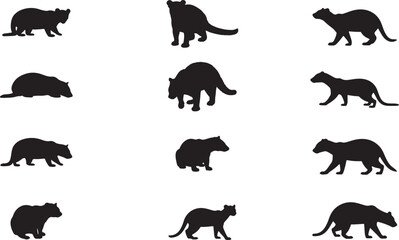 Fossa Silhouettes