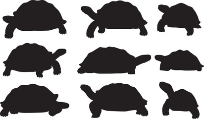 Galápagos Tortoise Silhouettes