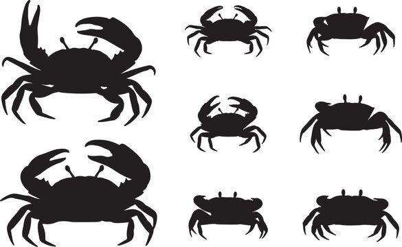 Fiddler Crab Silhouettes