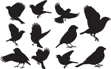 Obraz premium Indigo Bunting Silhouettes