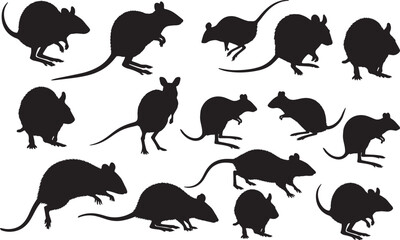 Kangaroo Rat Silhouettes