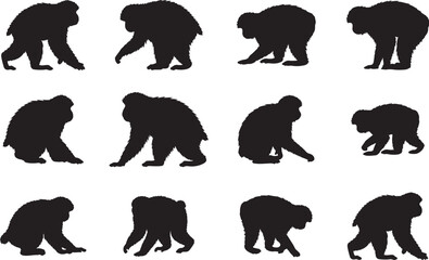 Japanese Macaque Silhouettes