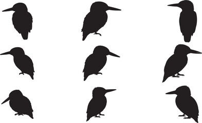 Fototapeta premium Kingfisher Silhouettes