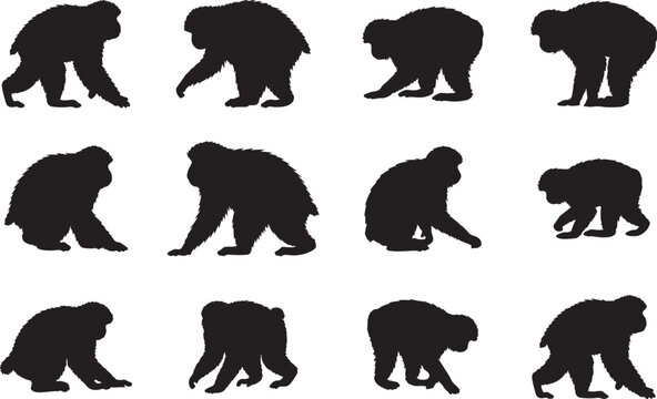 Japanese Macaque Silhouettes