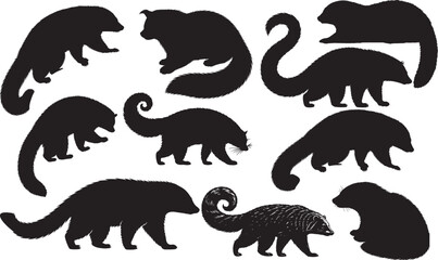 Binturong Silhouette