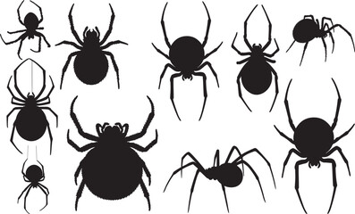 Black Widow Spider Silhouette