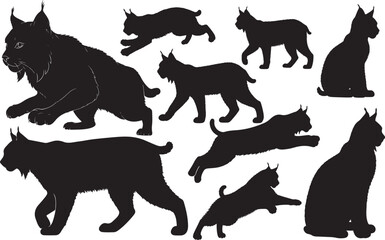 Bobcat Silhouette