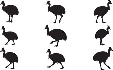 Cassowary Silhouette