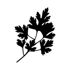 Fototapeta premium Parsley Leaf Silhouette - Minimalist Design