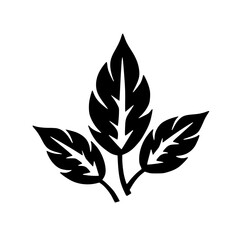 Minimalist Black Leaf Silhouette on White Background