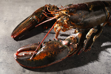 Raw lobster on grey textured table, closeup
