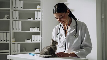 Professional veterinarian examining a small grey kitten with a stethoscope in a modern veterinary clinic, ensuring its health and wellbeing