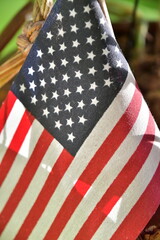 Fototapeta premium American Flag