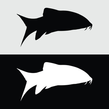 botia fish silhouette vector design