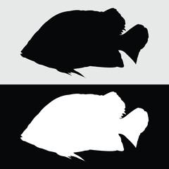 Datz fish silhouette vector design with black and white background