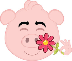 vector illustration emoji character face pig cartoon, smelling a flower
