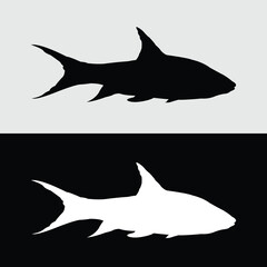 masher fish silhouette design. River fish that is starting to attract many fans