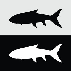 masher fish silhouette design. River fish that is starting to attract many fans
