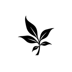 Minimalist Leaf Illustration: Black and White Plant Emblem